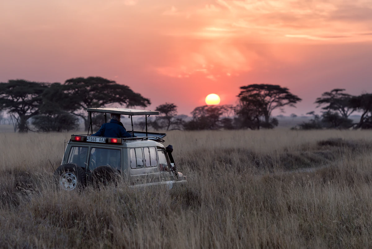 Kenya Masai Mara Safari